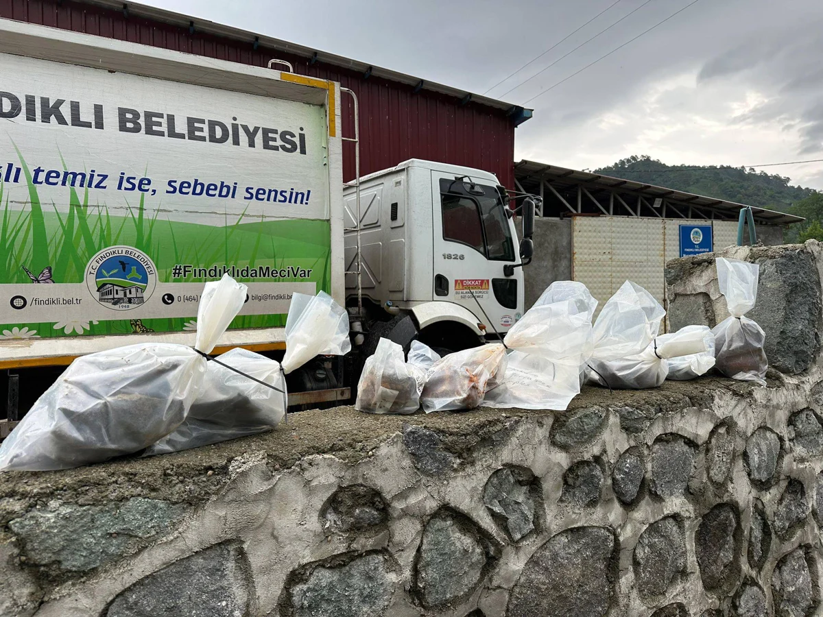 Orda bir köy var uzakta: Direniyor! - Atölye BİA