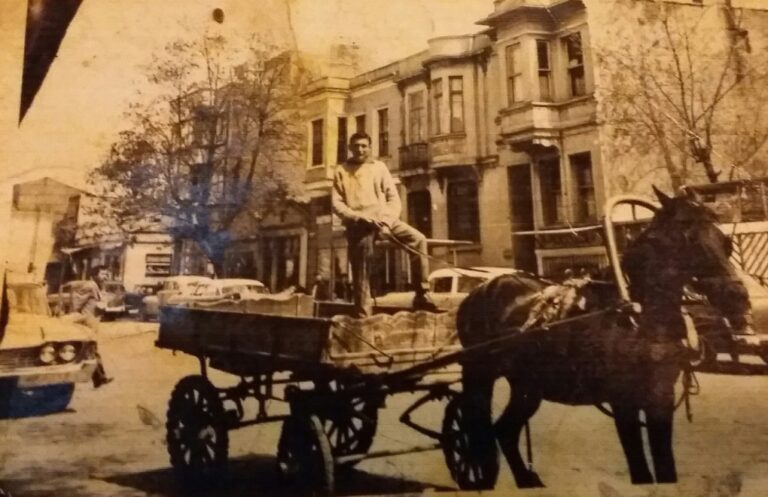 Yedikule Bostanları