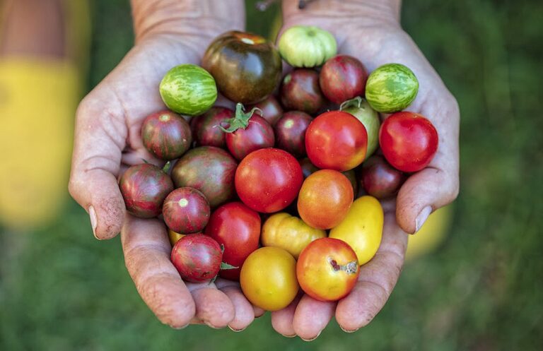 Atölye BİA Sokakta
