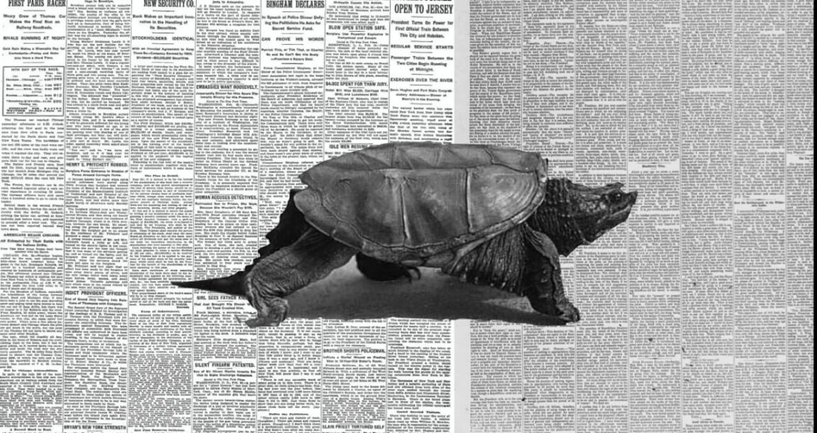 Yavaş Güzeldir: “Yavaş Yemek”ten “Yavaş Medya”ya Hızlı Tüketime Dair Bir Çözüm Önerisi