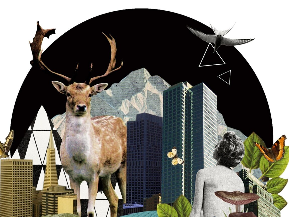 Veri Odaklı Kent ve Ekoloji Haberciliği & Kent Karikatürleri