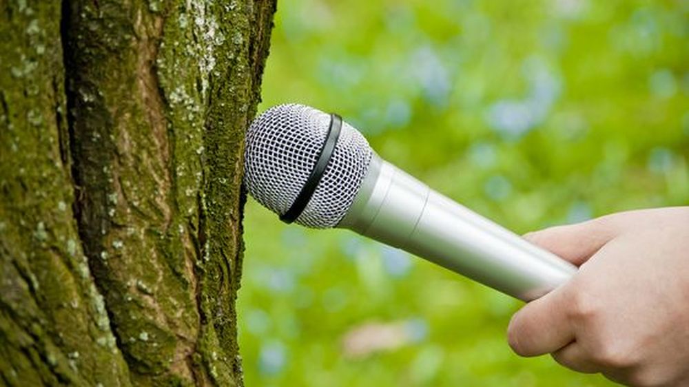 İklim Haberciliğinde Pitching Nasıl Olmalı?