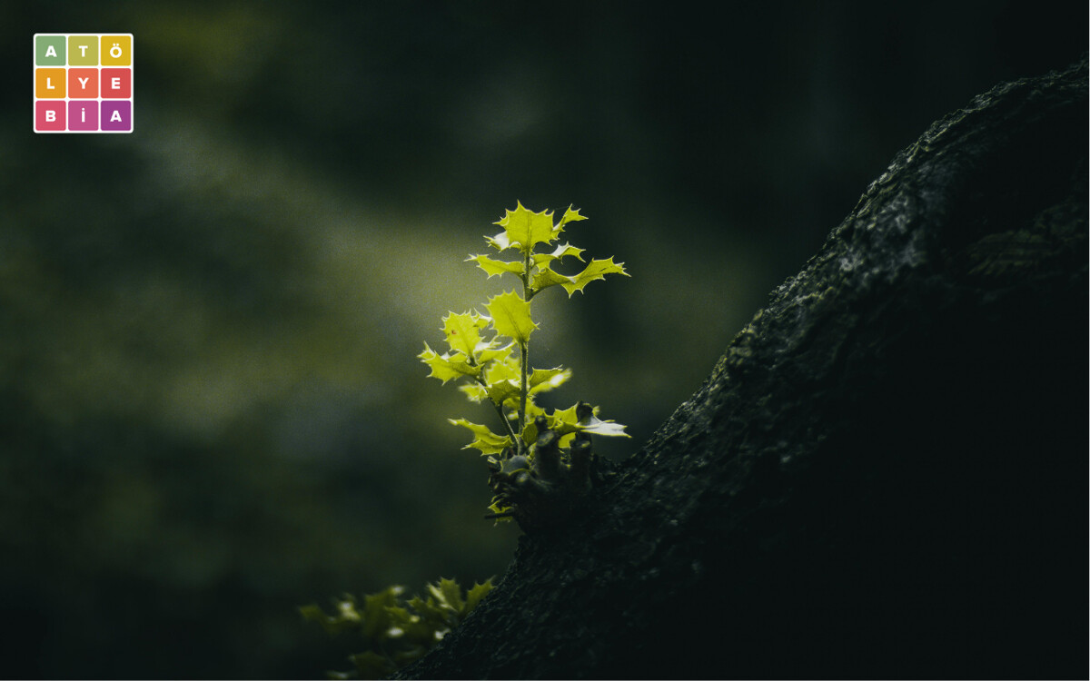 “Türkiye’nin su ve tarım politikalarına müdahil olmadan biyolojik çeşitlilik korunamaz” - Atölye BİA